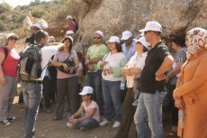 Battir enginassoc 2012