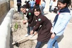 dar-albandak-planting1