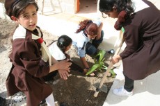 dar-albandak-planting2