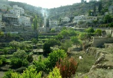 Battir whl2