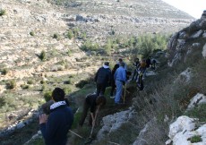 battir cleaning2011